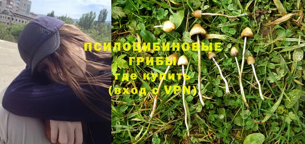 таблы Белокуриха