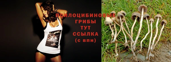 таблы Белокуриха