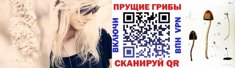hydra ONION Окуловка Псилоцибиновые грибы мицелий